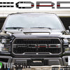 "FORD" Raptor Grill Lettering Overlays Fits 2015-2020 Ford F-150 Black & Silver American Flag w/Thin Red Line